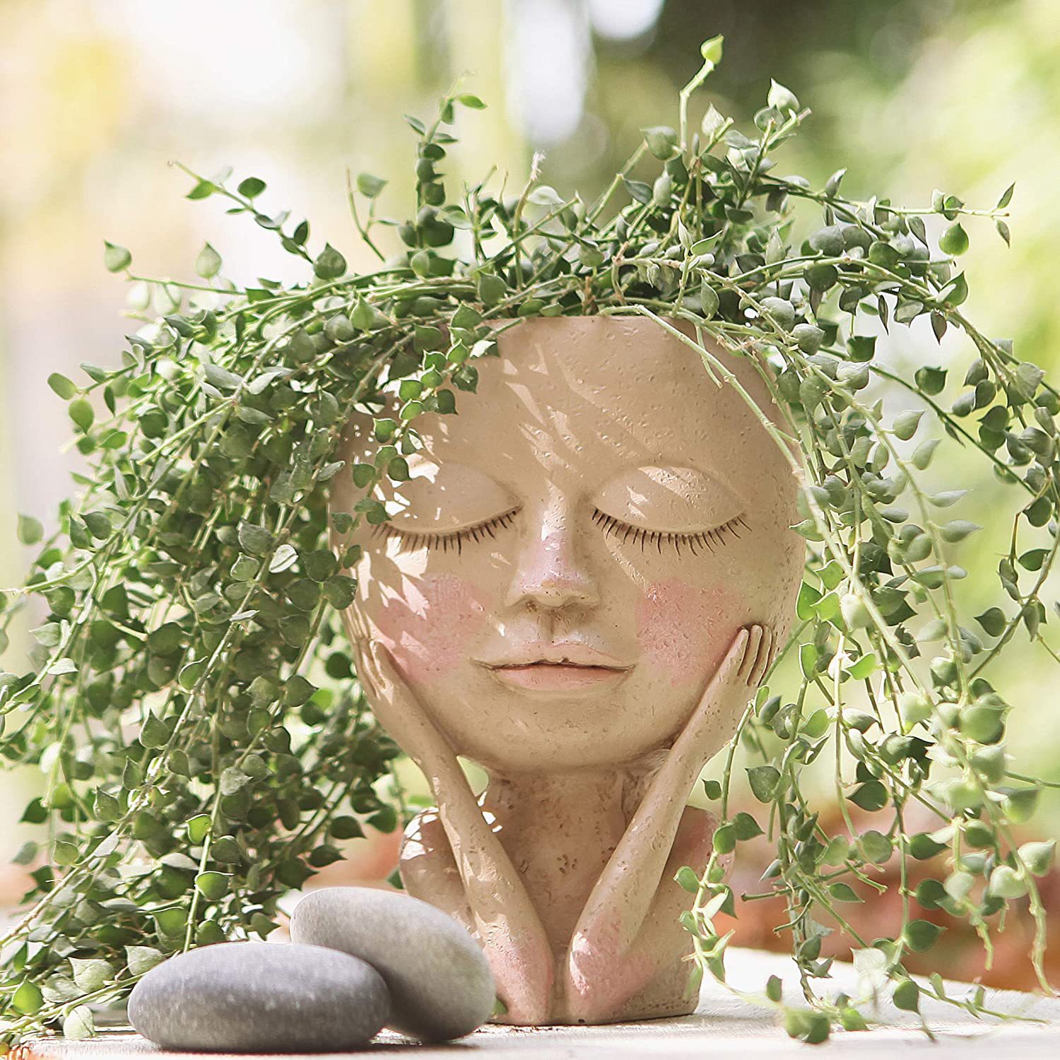 Girls Face Head Flower Planter - Echeveria Succulent recensione e prezzo