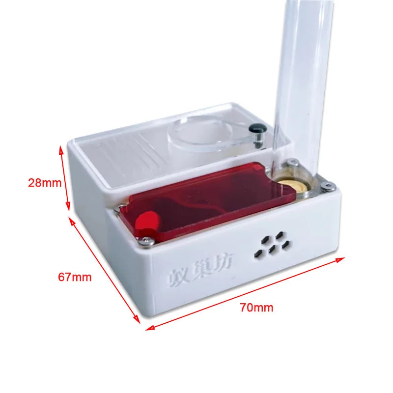 3D Printed Ant Farm queen ant' - Begonia Rex recensione e prezzo